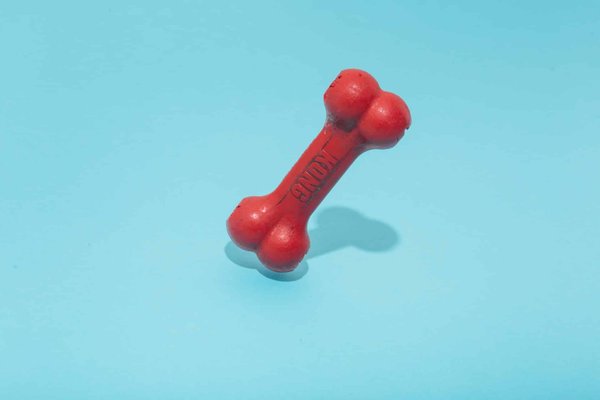 Les accessoires indispensables pour votre fidèle compagnon canin
