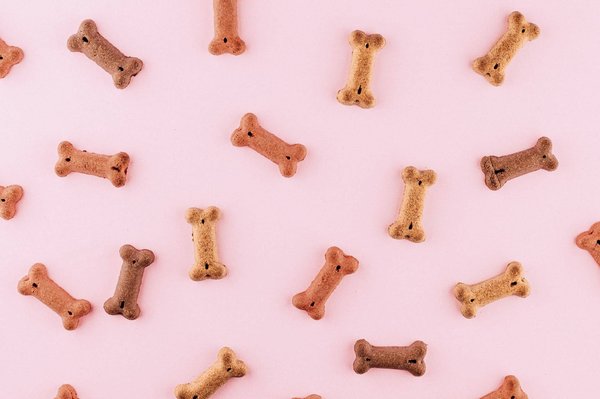 Comment faire des friandises maison pour son chien ?