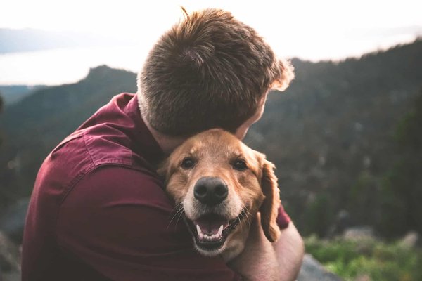 Comment gérer les problèmes de comportement chez son chien ?